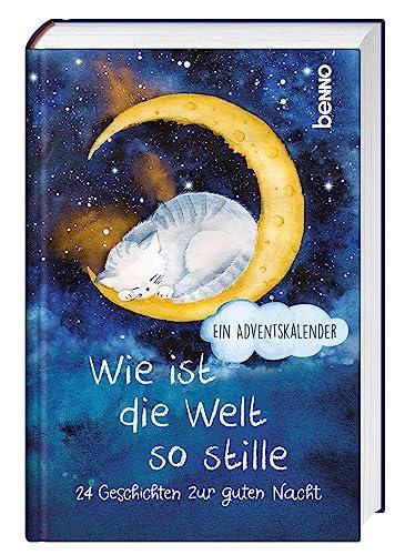 Wie ist die Welt so stille: 24 Geschichten zur guten Nacht. Ein Adventskalender