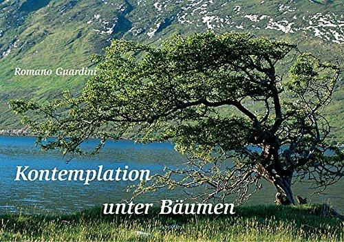 Kontemplation unter Bäumen