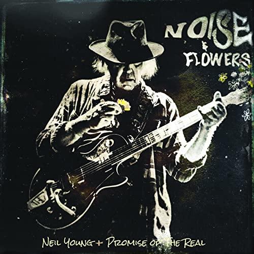 Noise and Flowers [Vinyl LP]