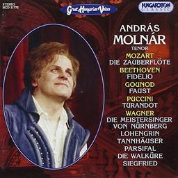 Great Hungarian Voices - Andras Molnar