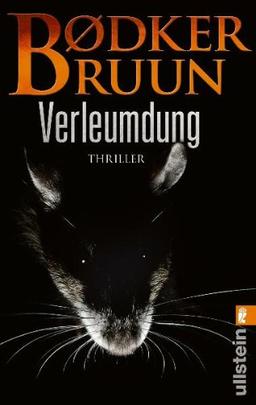 Verleumdung: Thriller (Ein-Linnea-Kirkegaard-Krimi)