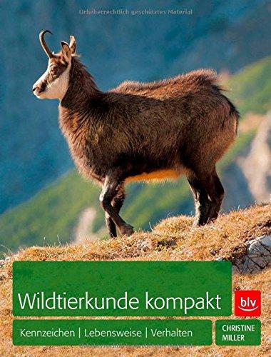 Wildtierkunde kompakt: Kennzeichen | Lebensweise | Verhalten