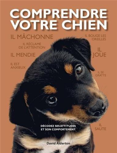 Comprendre votre chien : décodez ses attitudes et son comportement