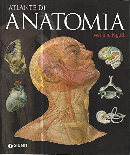 Atlante di anatomia