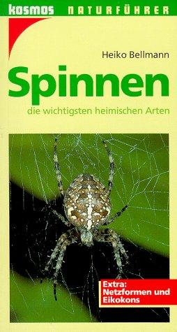 Spinnen, die wichtigsten heimischen Arten