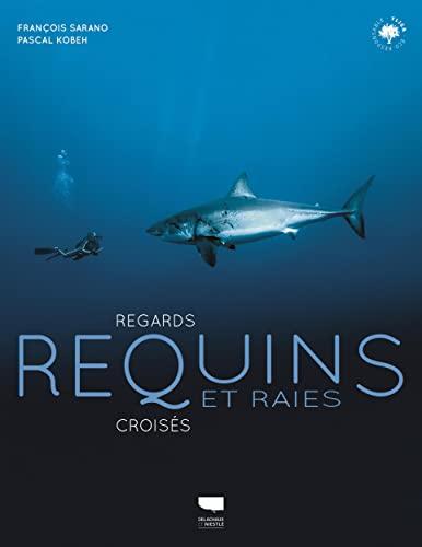 Requins et raies : regards croisés