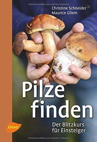 Pilze finden: Der Blitzkurs für Einsteiger