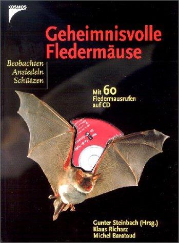 Geheimnisvolle Fledermäuse, m. Audio-CD