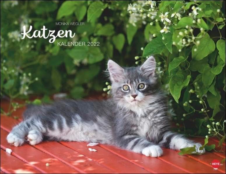 Wegler Katzenkalender