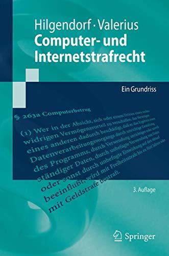 Computer- und Internetstrafrecht: Ein Grundriss (Springer-Lehrbuch)