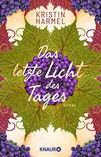 Das letzte Licht des Tages: Roman. Die dramatische Résistance-Geschichte einer französischen Familie bei Ausbruch des 2. Weltkriegs