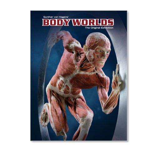 BODY WORLDS - The Original Exhibition: The Original Exhibition of Real Human Bodies