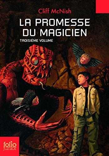 Le maléfice. Vol. 3. La promesse du magicien