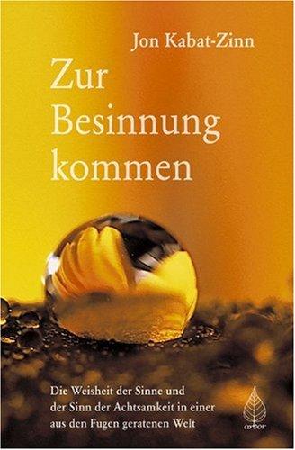 Zur Besinnung kommen: Die Weisheit der Sinne und der Sinn der Achtsamkeit in einer aus den Fugen geratenen Welt