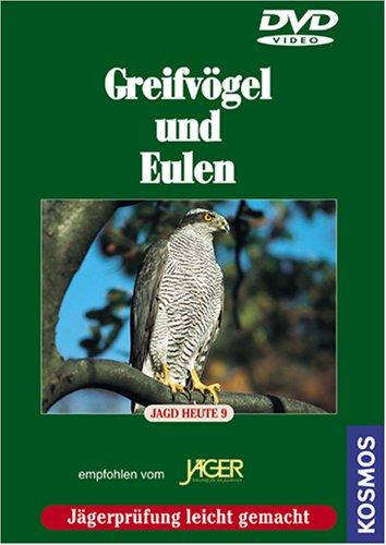 Greifvögel und Eulen