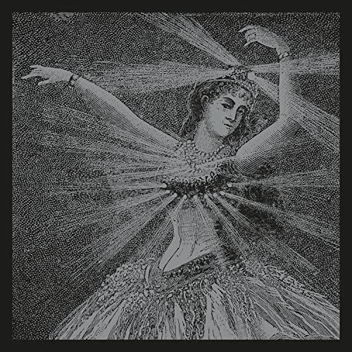 The Collected Works of Neutral Milk Hotel-Box Set [Vinyl LP]