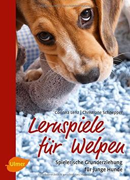 Lernspiele für Welpen: Spielerische Grunderziehung für junge Hunde