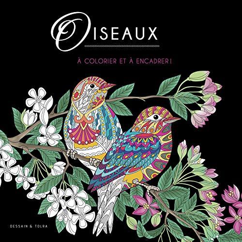 Oiseaux : à colorier et à encadrer !