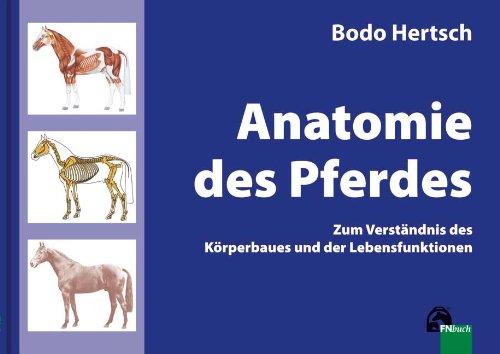 Anatomie des Pferdes: Zum Verständnis des Körperbaues und der Lebensfunktionen