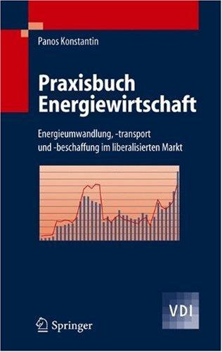 Praxisbuch Energiewirtschaft: Energieumwandlung, -transport und -beschaffung im liberalisierten Markt (VDI-Buch)