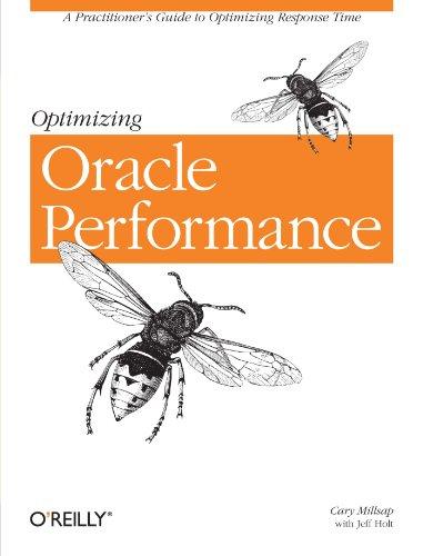 Optimizing Oracle Performance (Classique Us)