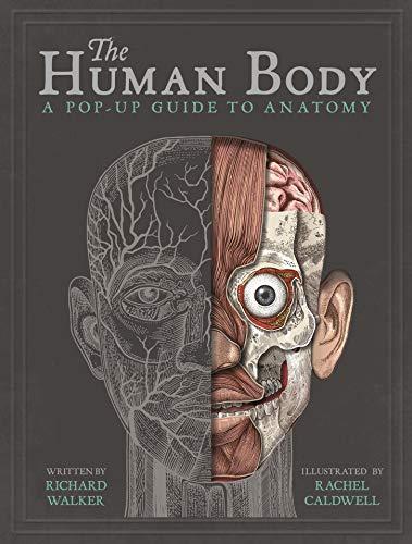 Walker, R: The Human Body