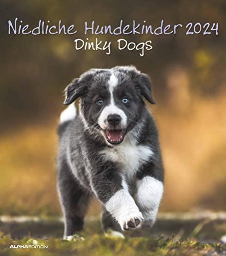 Niedliche Hundekinder 2024 - Wand-Kalender - Tier-Kalender - 30x34: Dinky Dogs