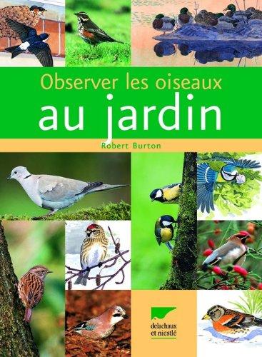 Observer les oiseaux au jardin