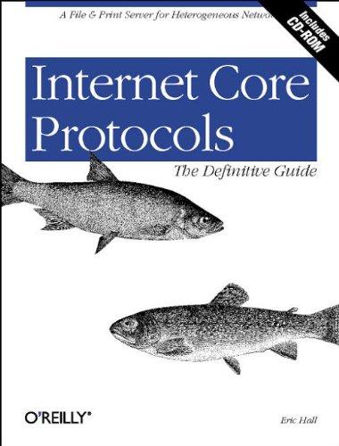 Internet Core Protocols: The Definitive Guide (Classique Us)