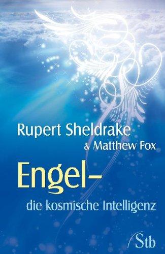 Engel - Die kosmische Intelligenz