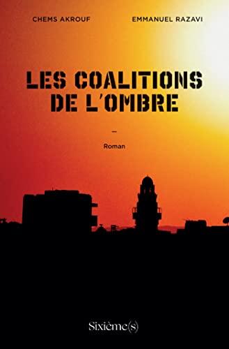 Les coalitions de l'ombre