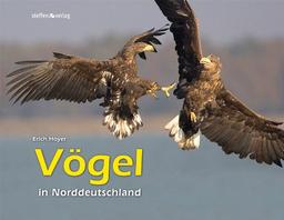 Vögel in Norddeutschland