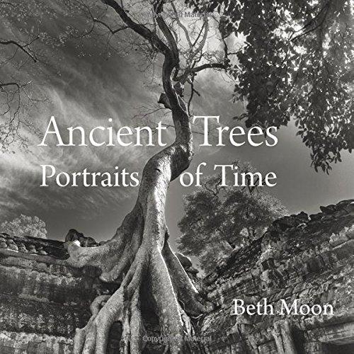 Ancient Trees: Portraits of Time