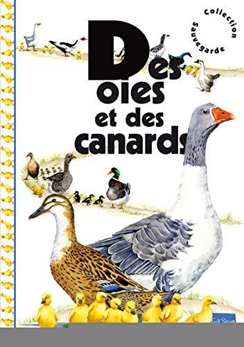 Des oies et des canards