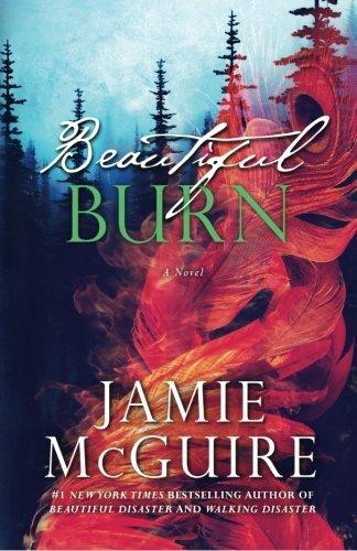 Beautiful Burn: A Novel (The Maddox Brothers Book 4)