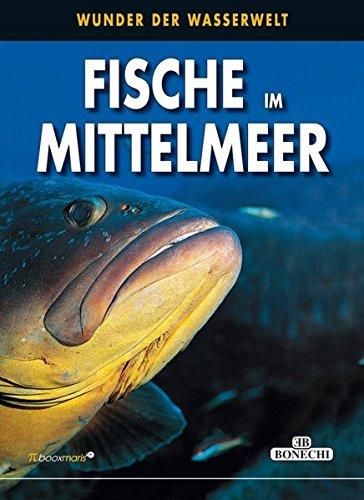 Fische im Mittelmeer: Wunder der Wasserwelt (PiBoox Maris)