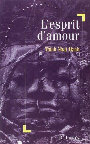 L'esprit d'amour : la pratique du regard profond dans la tradition bouddhiste mahayana