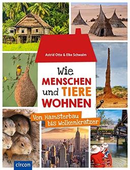 Wie Menschen und Tiere wohnen: Von Hamsterbau bis Wolkenkratzer