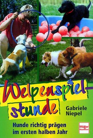 Welpenspielstunde: Hunde richtig prägen im ersten halben Jahr