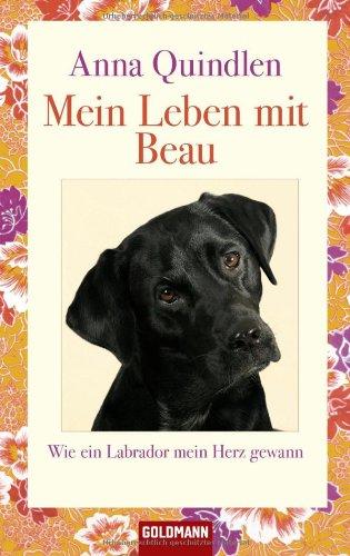 Mein Leben mit Beau: Wie ein Labrador mein Herz gewann