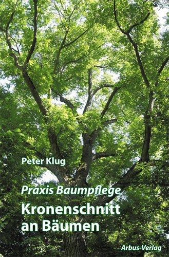 Praxis Baumpflege - Kronenschnitt an Bäumen