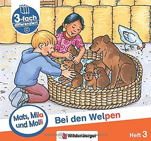 Mats, Mila und Molli – Heft 3: Bei den Welpen - Schwierigkeitsstufe C: Eine Geschichte in drei Schwierigkeitsstufen