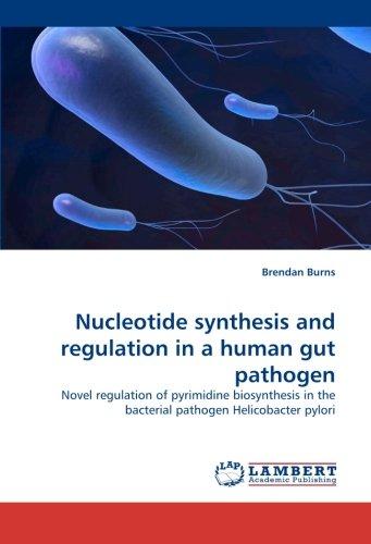 Nucleotide synthesis and regulation in a human gut pathogen: Novel regulation of pyrimidine biosynthesis in the bacterial pathogen Helicobacter pylori