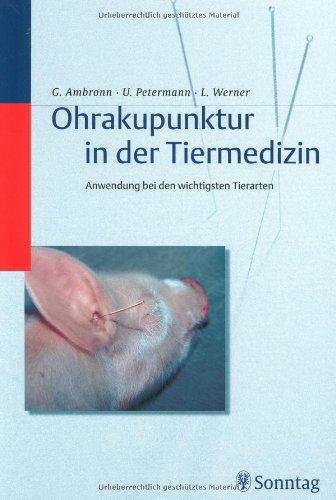 Ohrakupunktur in der Veterinärmedizin: Anwendung bei den wichtigsten Tierarten