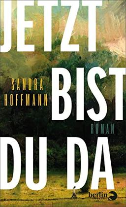 Jetzt bist du da: Roman | Ein Roman über Sehnsucht, Selbstschutz, die Natur ... und eine unerwartete Begegnung