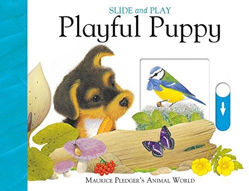 Slide & Play: Playful Puppy