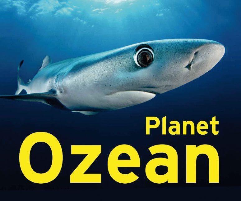 Planet Ozean: Ausstellungskatalog