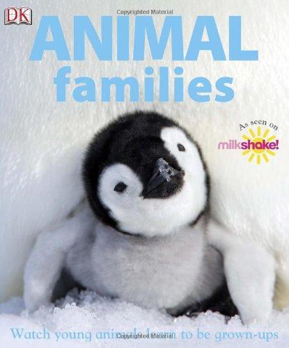 Animal Families (Milkshake)