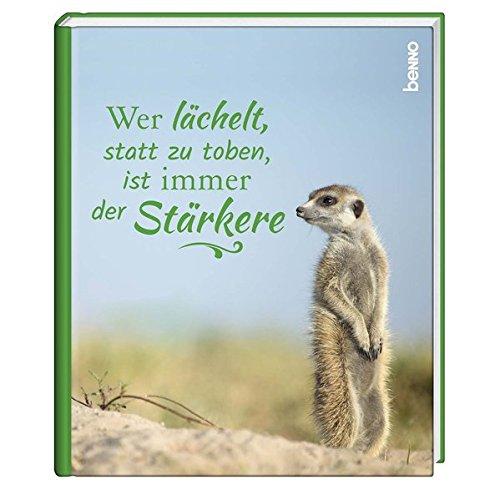 Wer lächelt, statt zu toben, ist immer der Stärkere