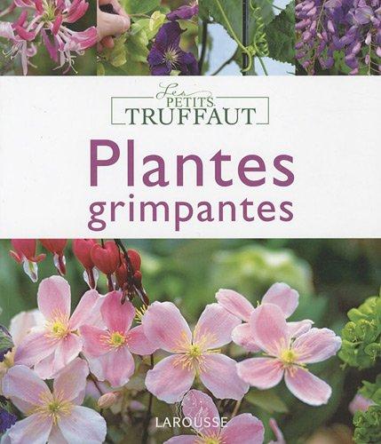 Plantes grimpantes